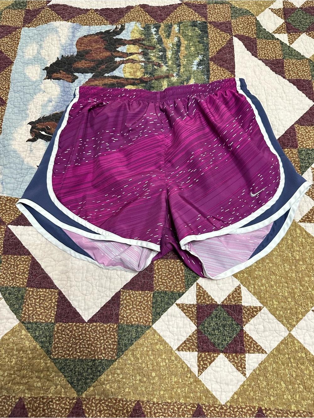 Nike Women’s Purple and Navy Running Shorts